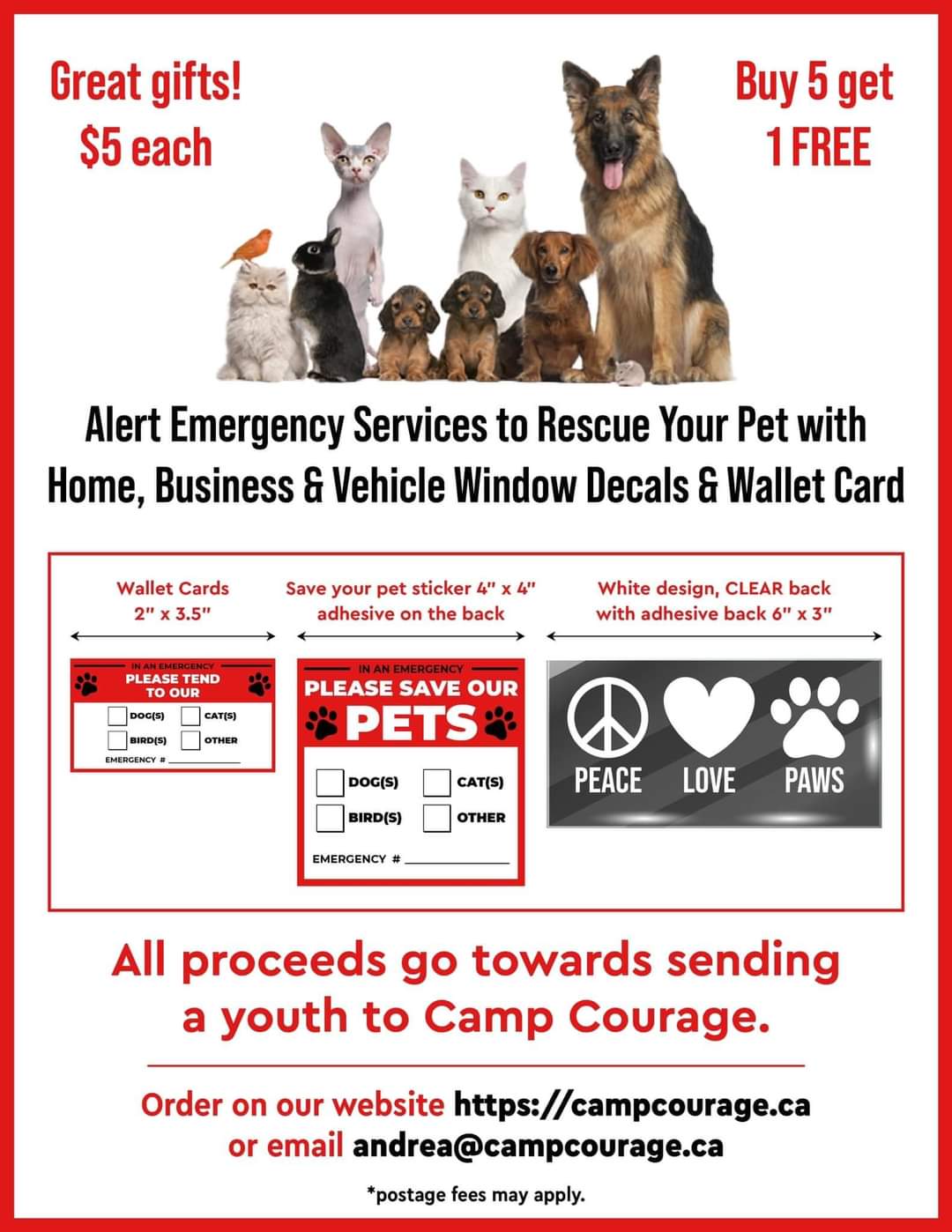 Camp Courage Fundraiser Alert 