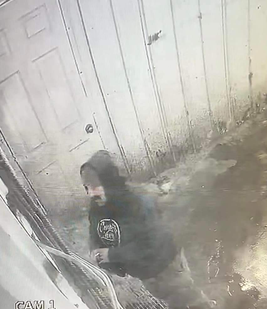 Truro Police Service is requesting The public’s assistance in identifying the male and vehicle