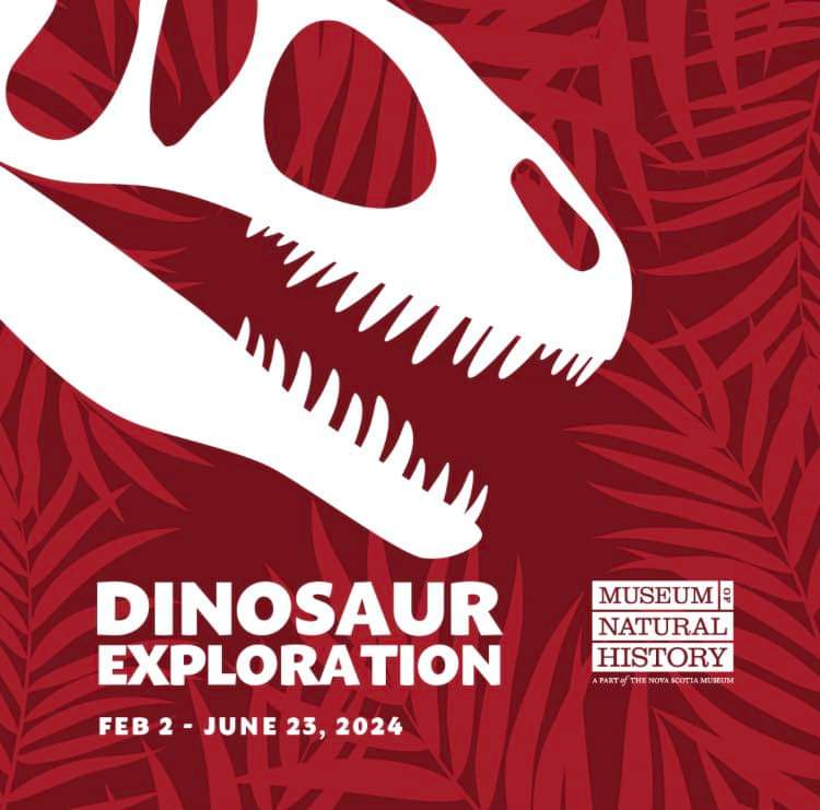 Experience the age of dinosaurs!
