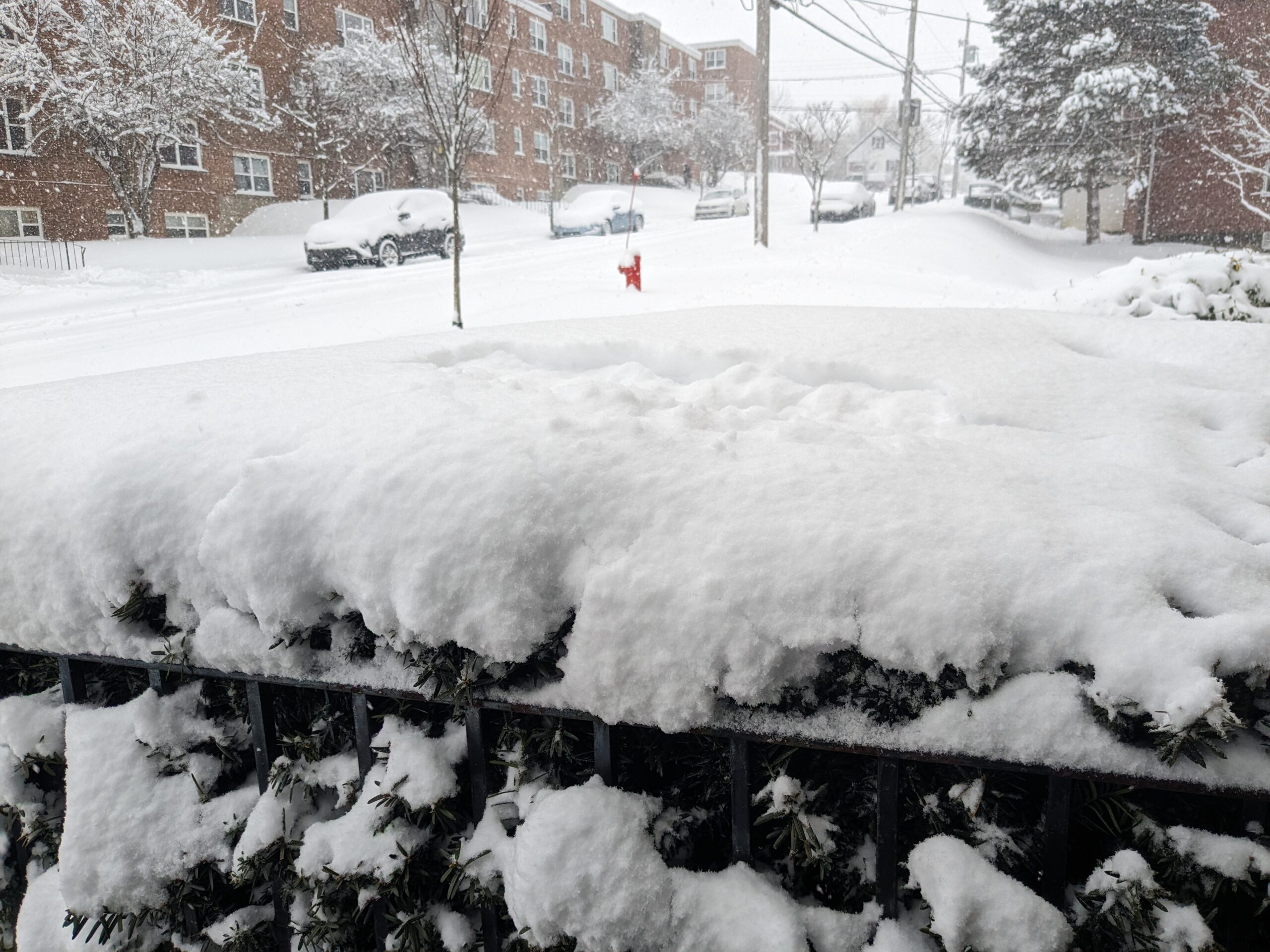 Storm impacts on municipal services | Monday, January 29 | 12 p.m. 