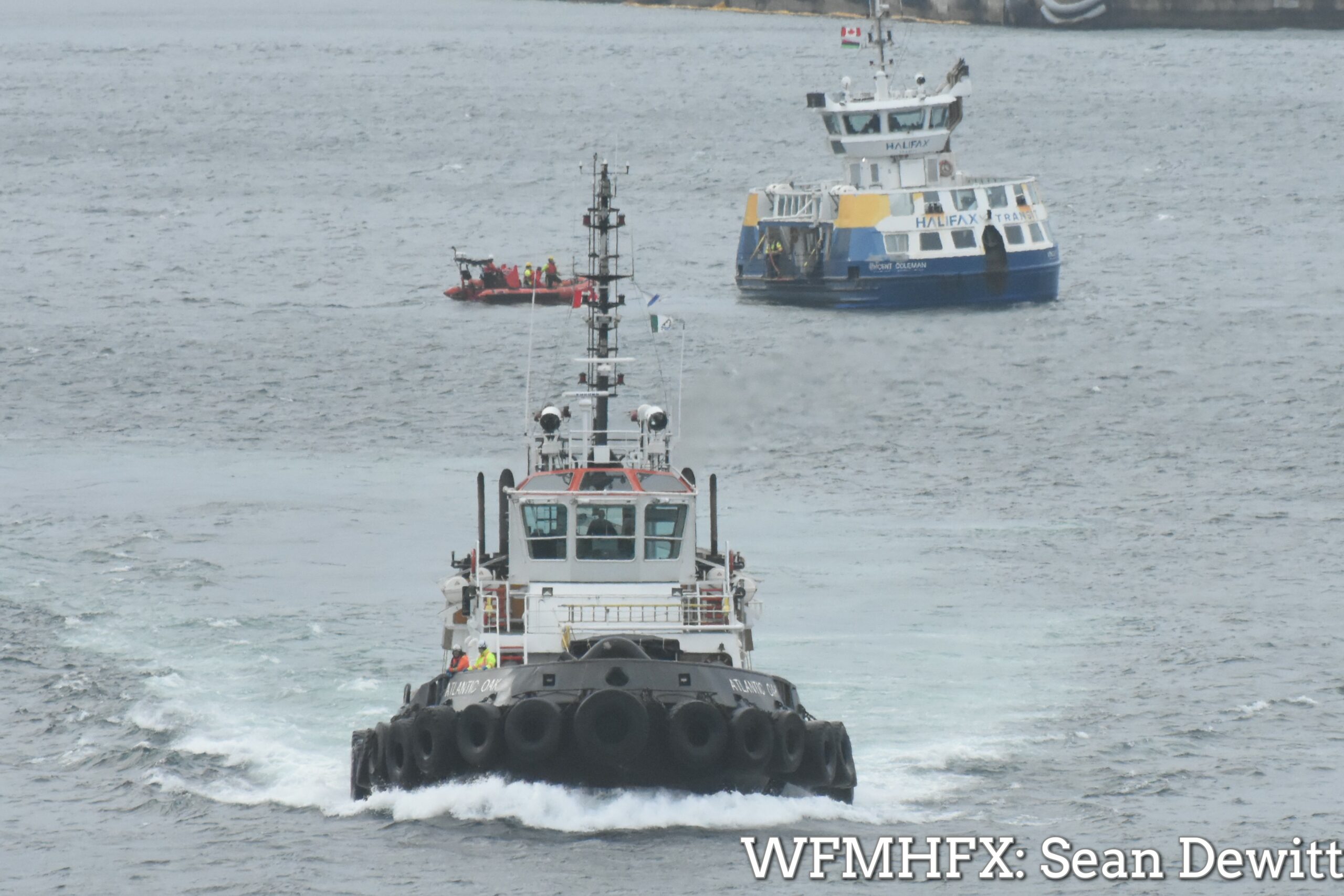 Tense moments after reports of a person falling overboard from a Halifax ferry