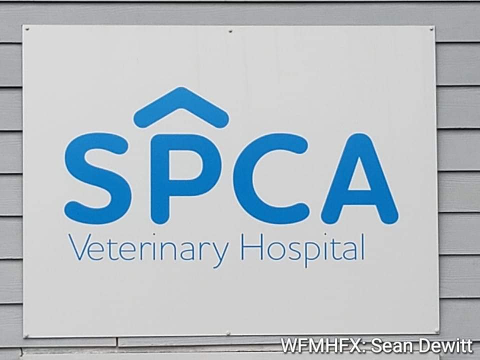 Veterinary Hospital to create new Nova Scotia SPCA Record on World Spay Day