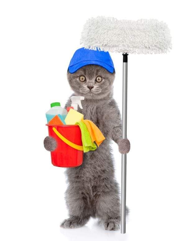 NS SPCA - Supplies needed
