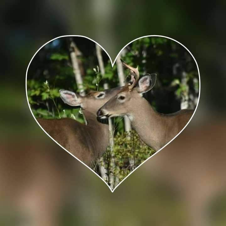 Happy Valentine's Day!