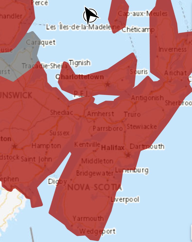 Rainfall and wind warnings in effect