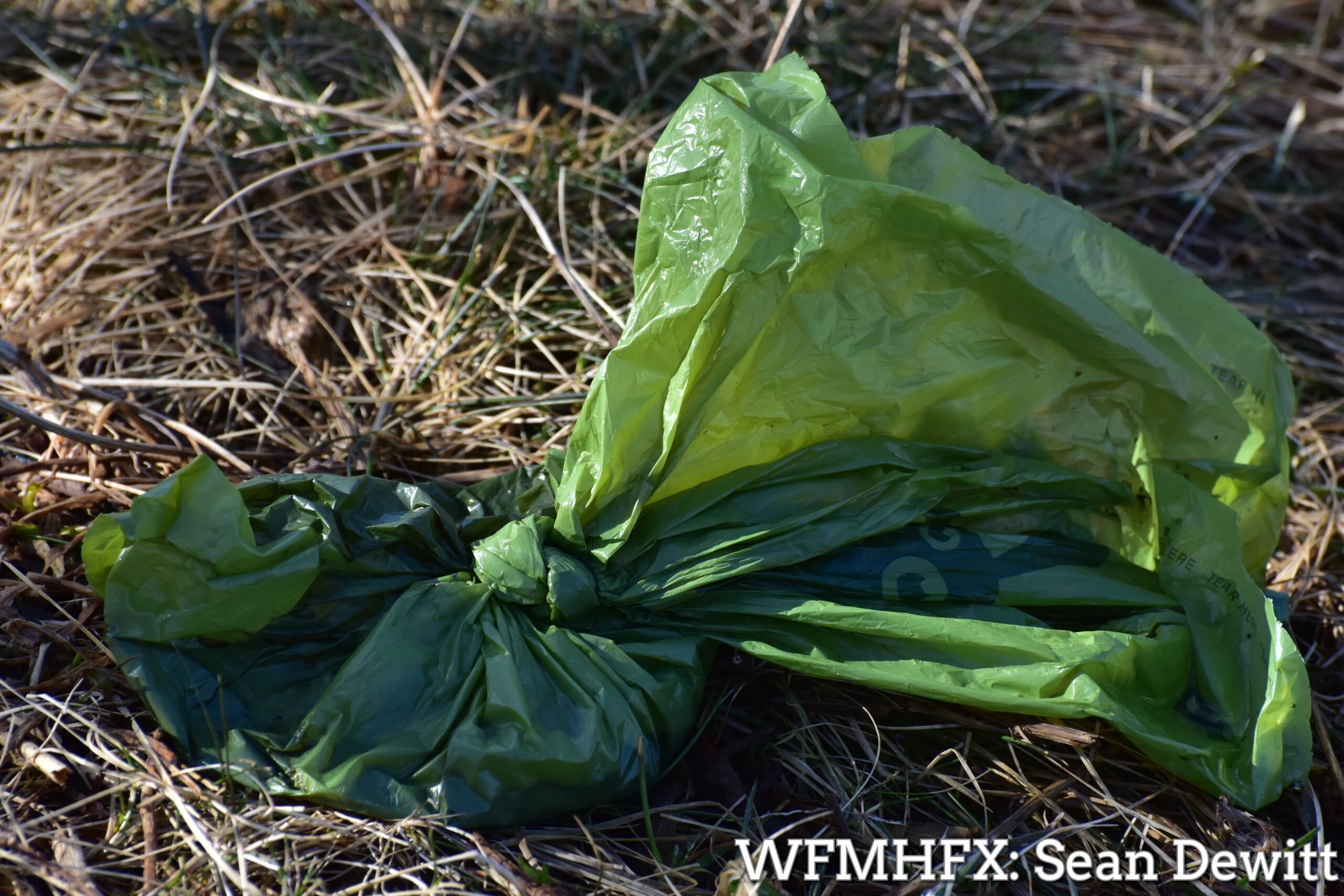 Let's keep our parks clean
