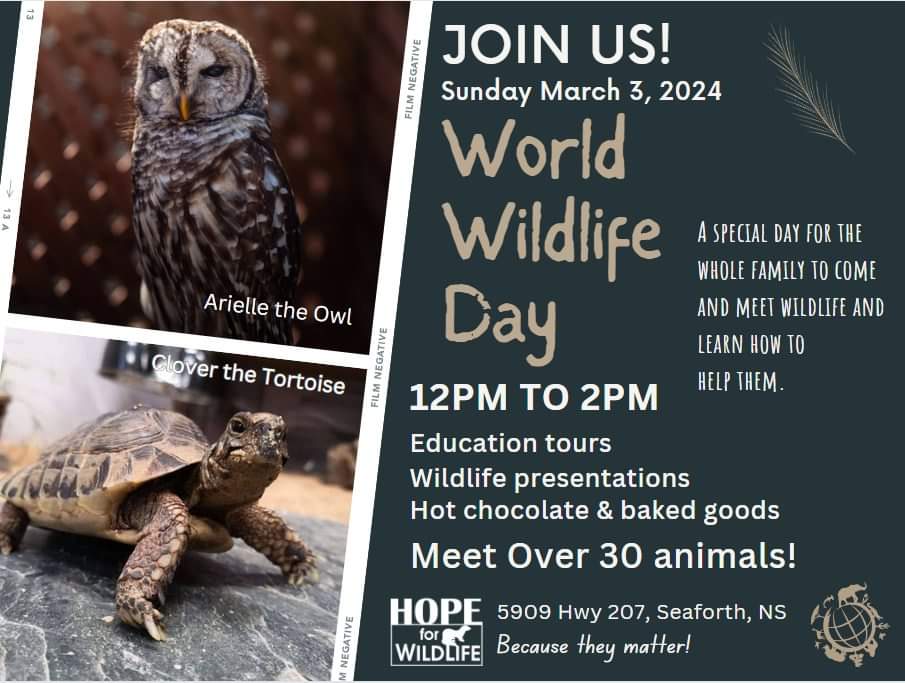 This Sunday, March 3rd is World Wildlife Day and Hope for Wildlife will be having a special celebration