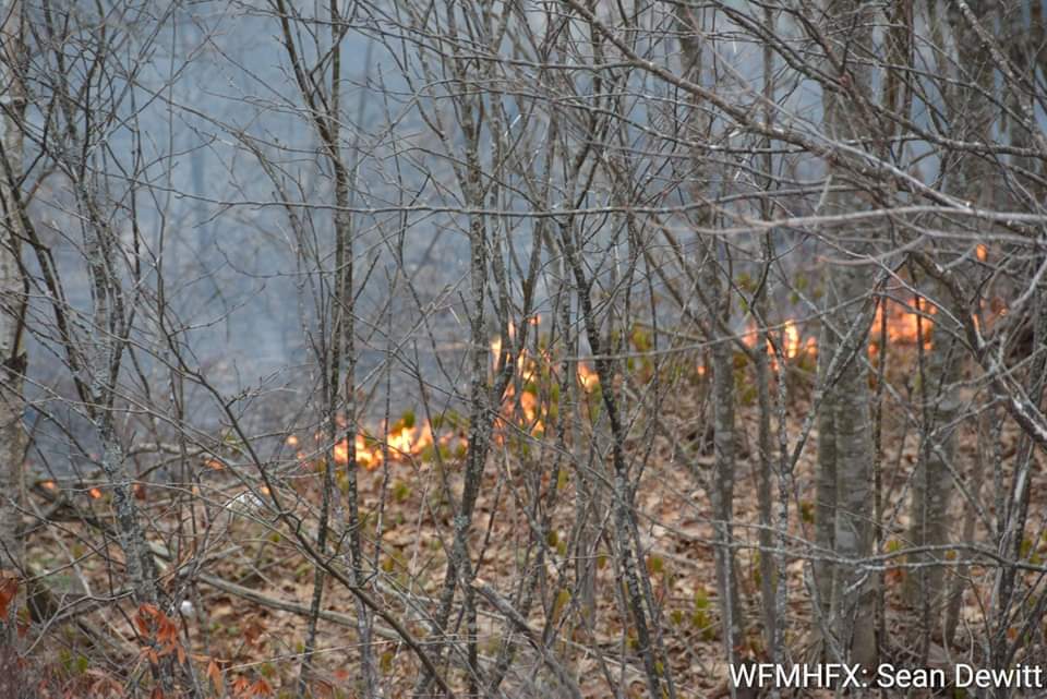 Starting 15 March 2024, burn restrictions will be updated daily