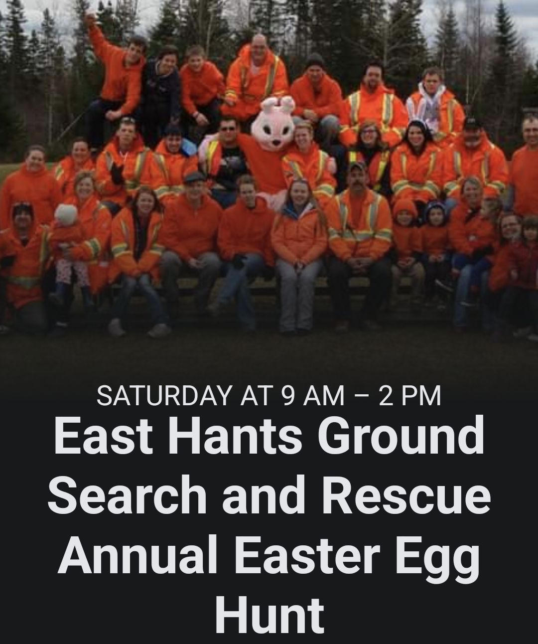 Join the Easter Bunny at the Lion's Den in Enfield and search for over 10,000 chocolate eggs