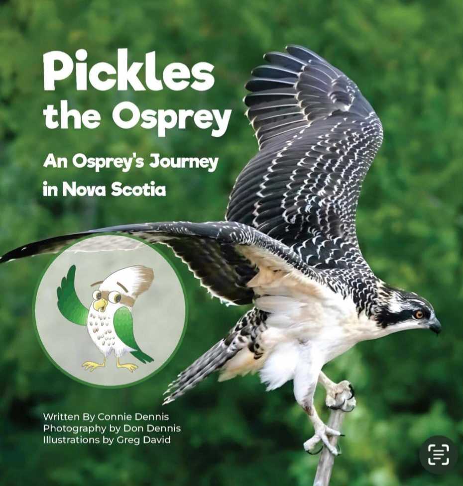 Local author captures the story of Pickles, a Dartmouth osprey, raising funds for Hope for Wildlife 