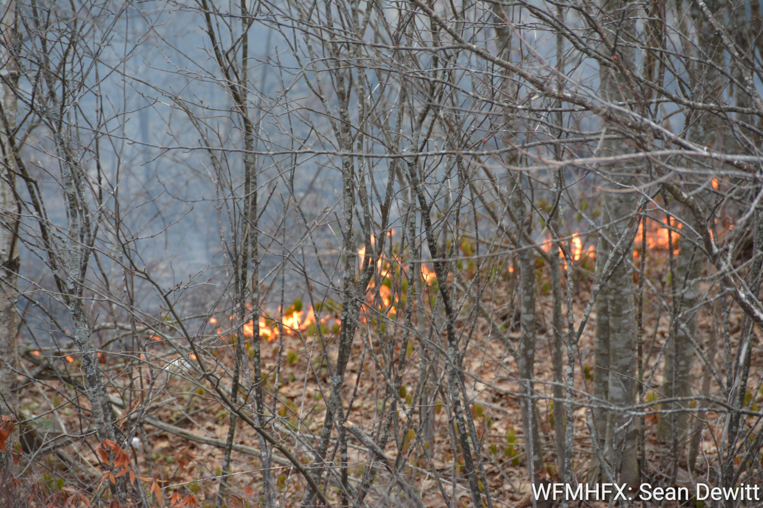 To help mitigate these impacts, and support the municipality in building its climate resilience, Halifax Regional Fire &amp; Emergency is excited to bring the FireSmart Canada program to the region