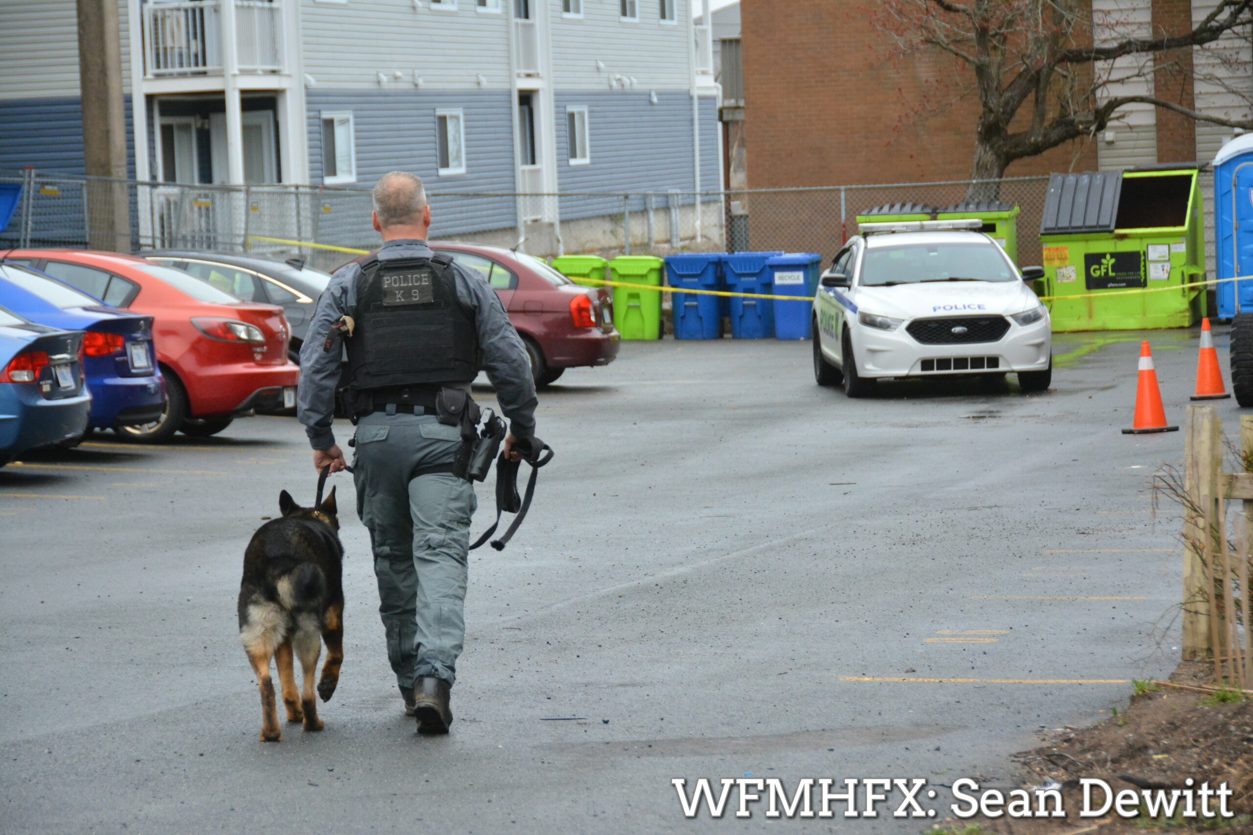 Halifax Regional Police is investigating a stabbing that occurred overnight in Halifax