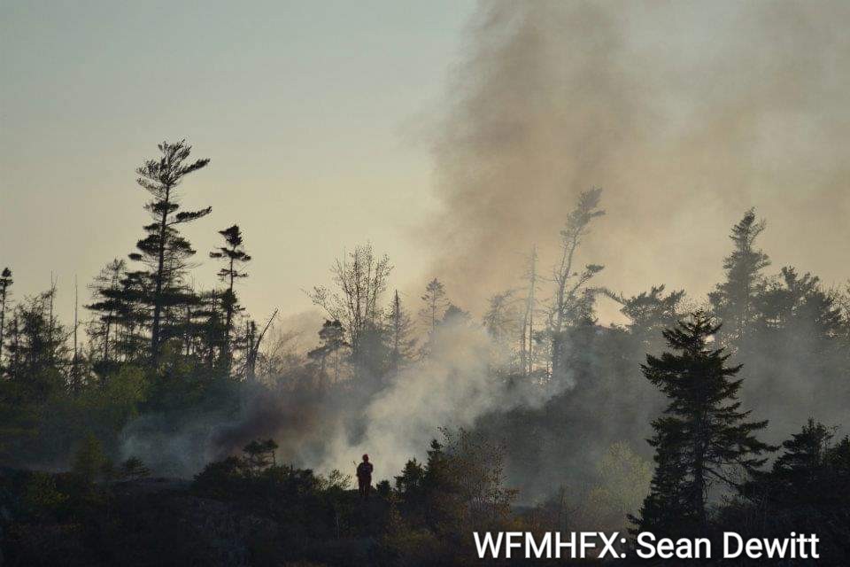 Wildfire Report Highlights Strengths, Areas for Improvement