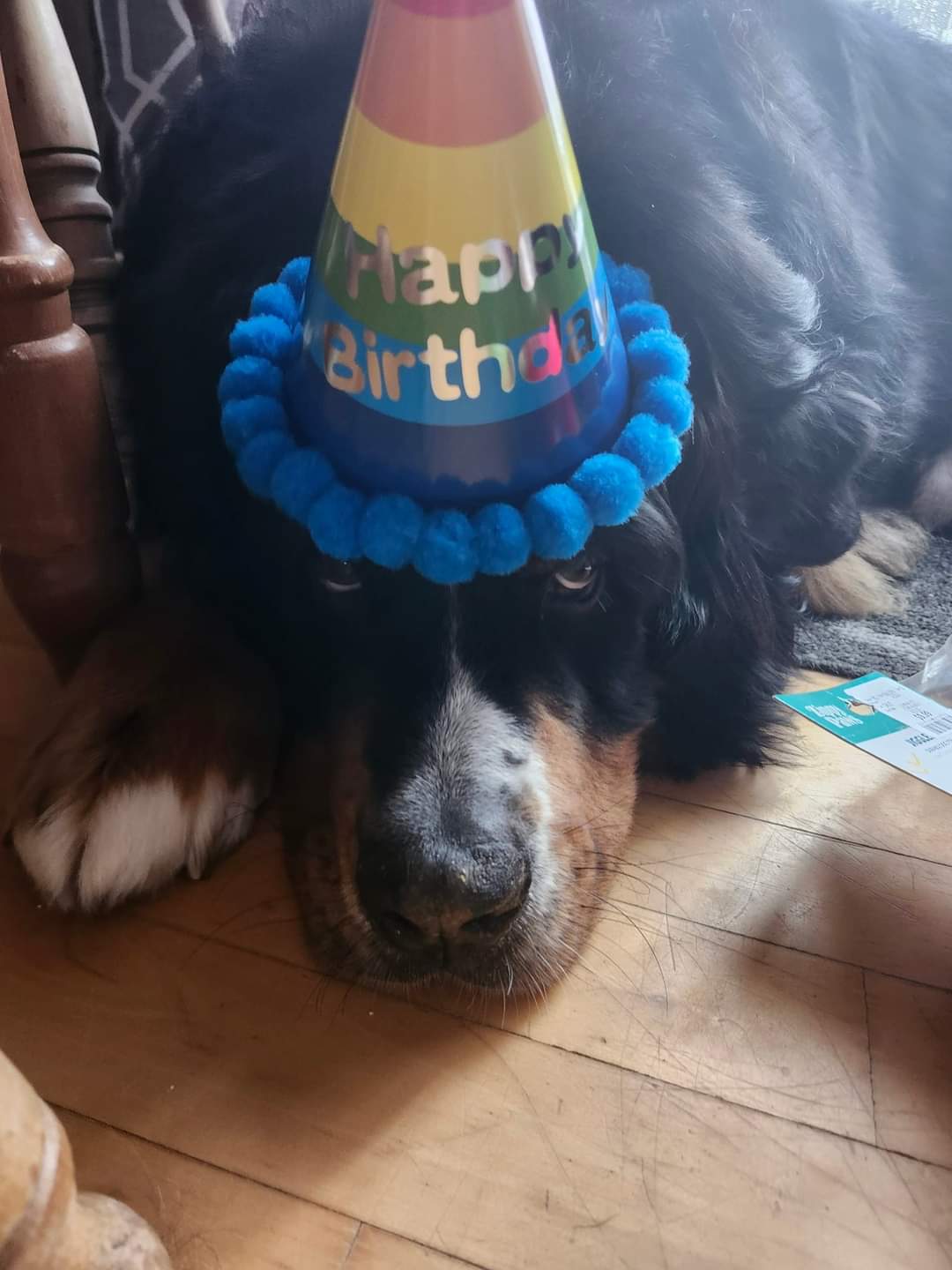 Happy birthday, Siren!