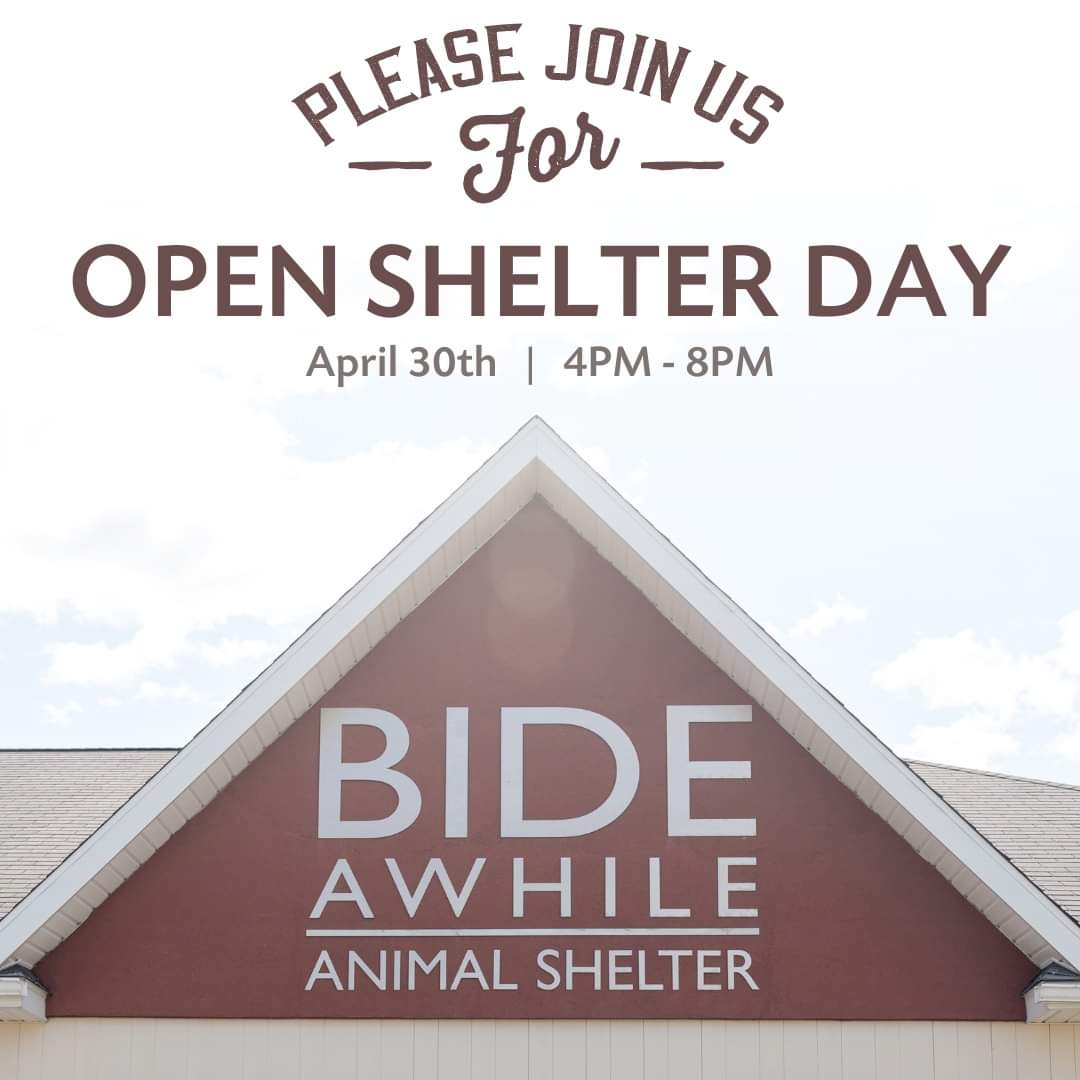 Bide Awhile - You're invited: Open Shelter Day