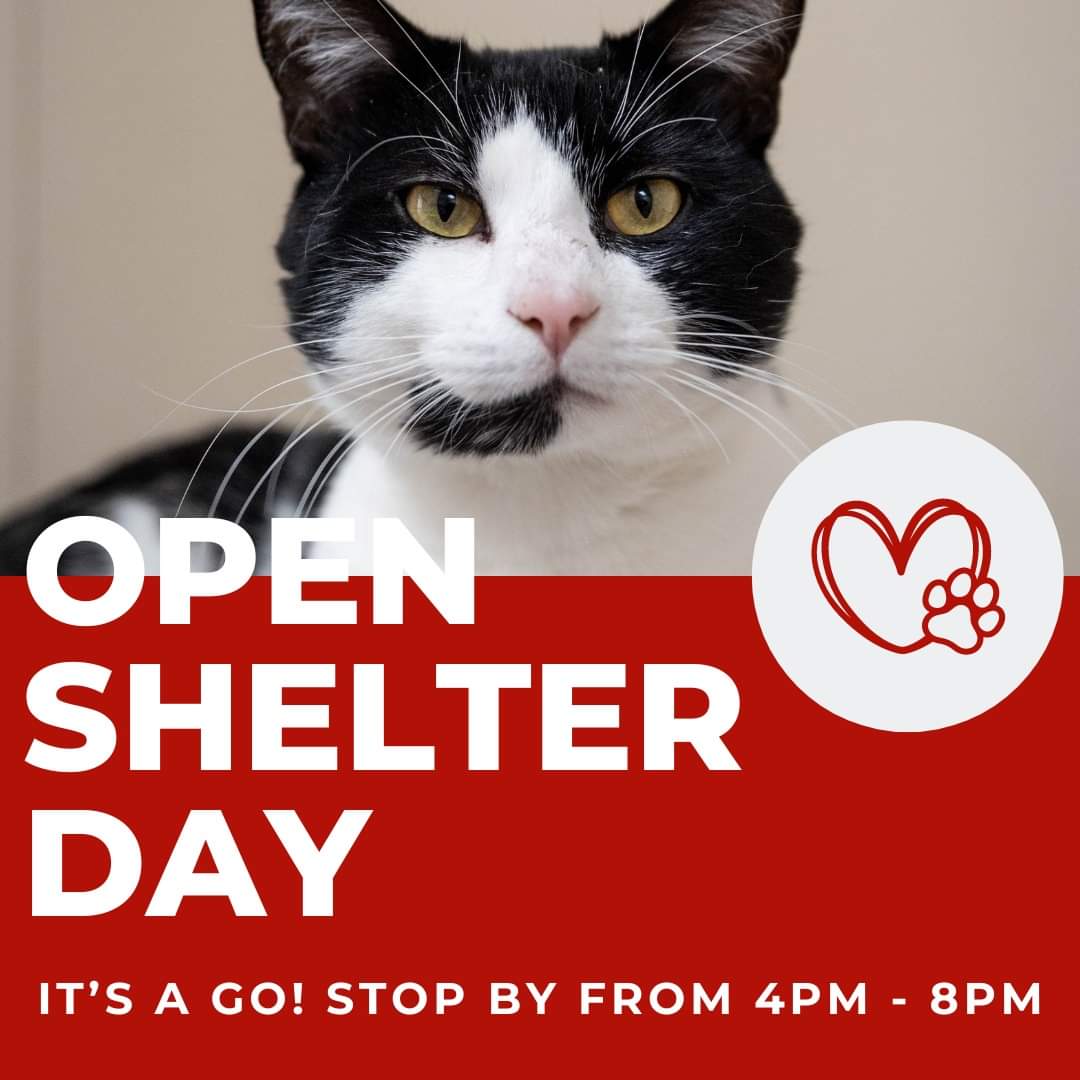 Bide Awhile - After discussion with community members and the HRP - Open Shelter Day will be a go!