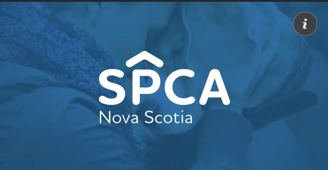 Reporting is one of the first steps to take to help prevent animal cruelty