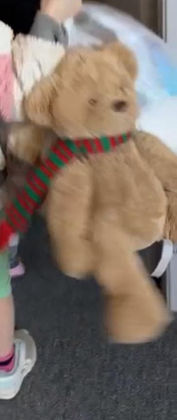 (Update) Help!  Lost teddy bear!
