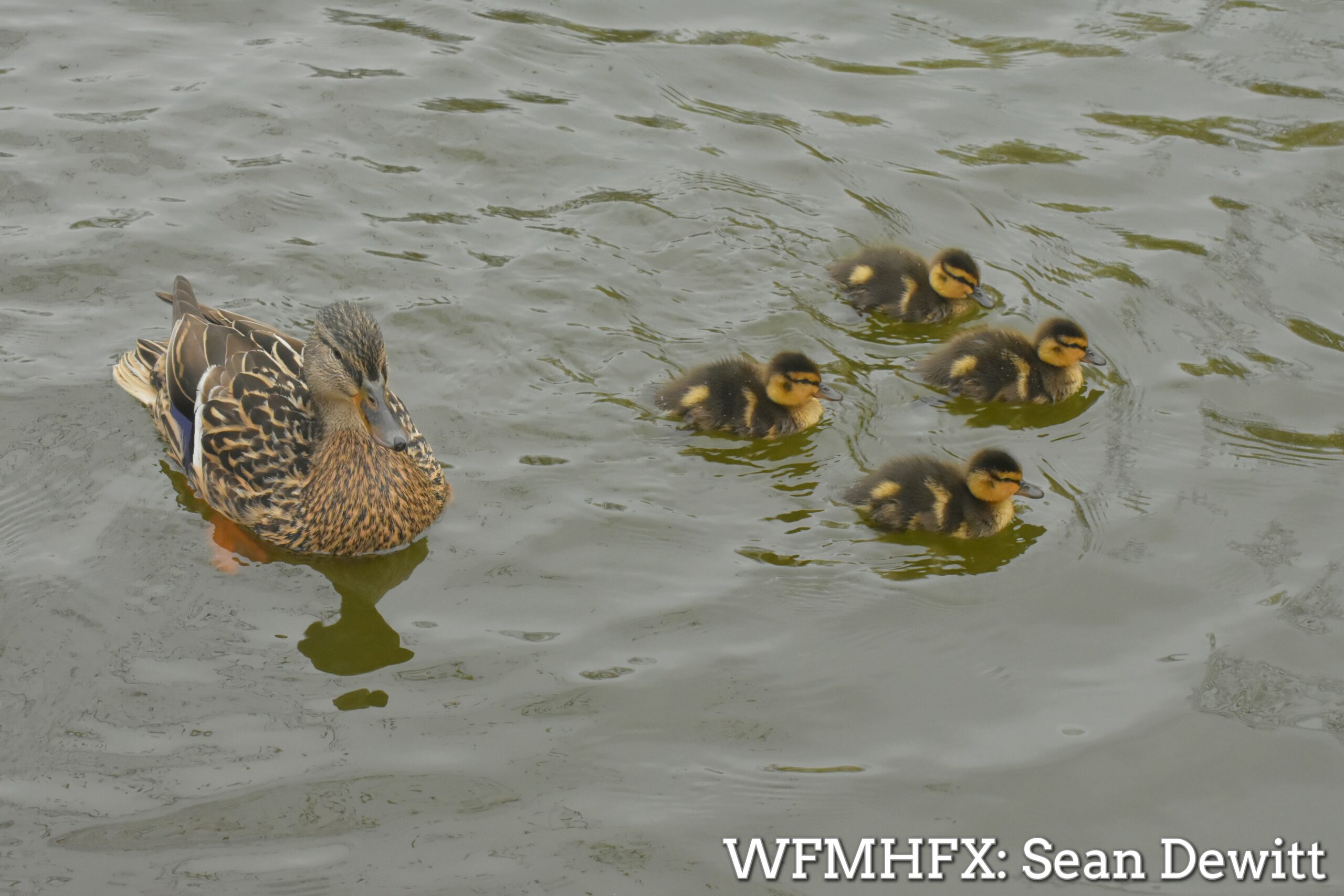 Happy Mothers Day!