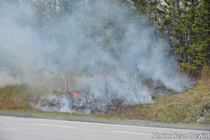 Municipality launches pilot program using artificial intelligence to detect wildfires