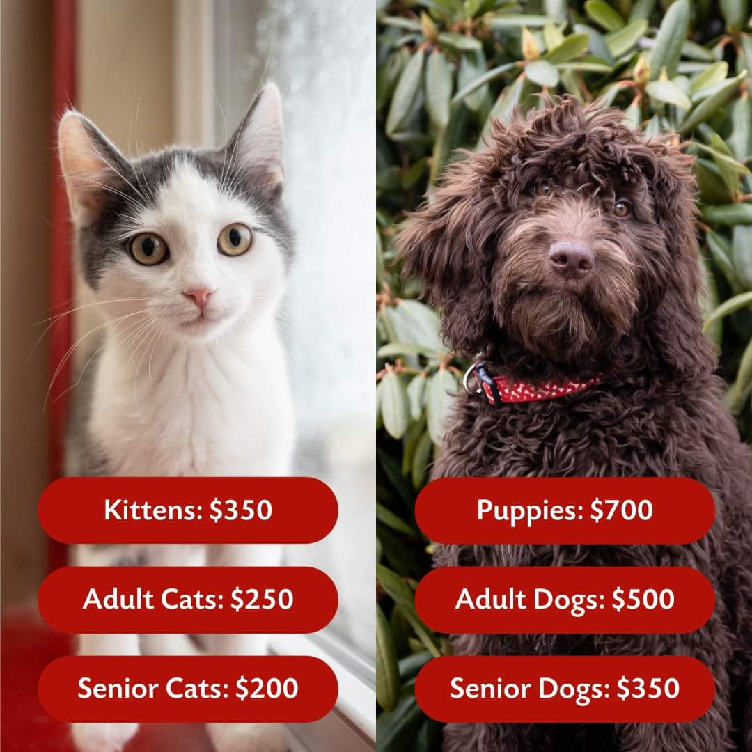 Bide Awhile - In response to the rising cost of animal care, please note that effective June 1st, 2024 - there will be a change to our adoption fees