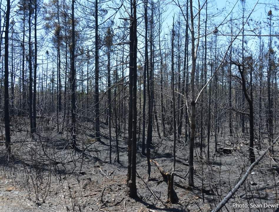 Large Increase in Fine for Illegal Burning During Wildfire Season