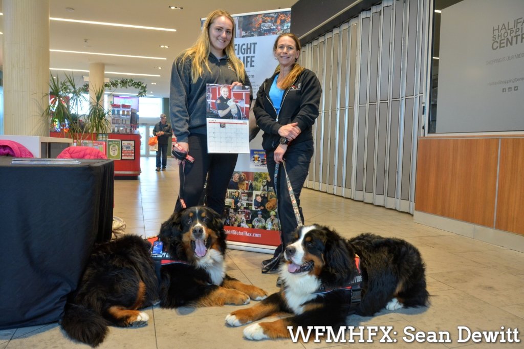 Follow the adventures of therapy dogs Siren and Bishop