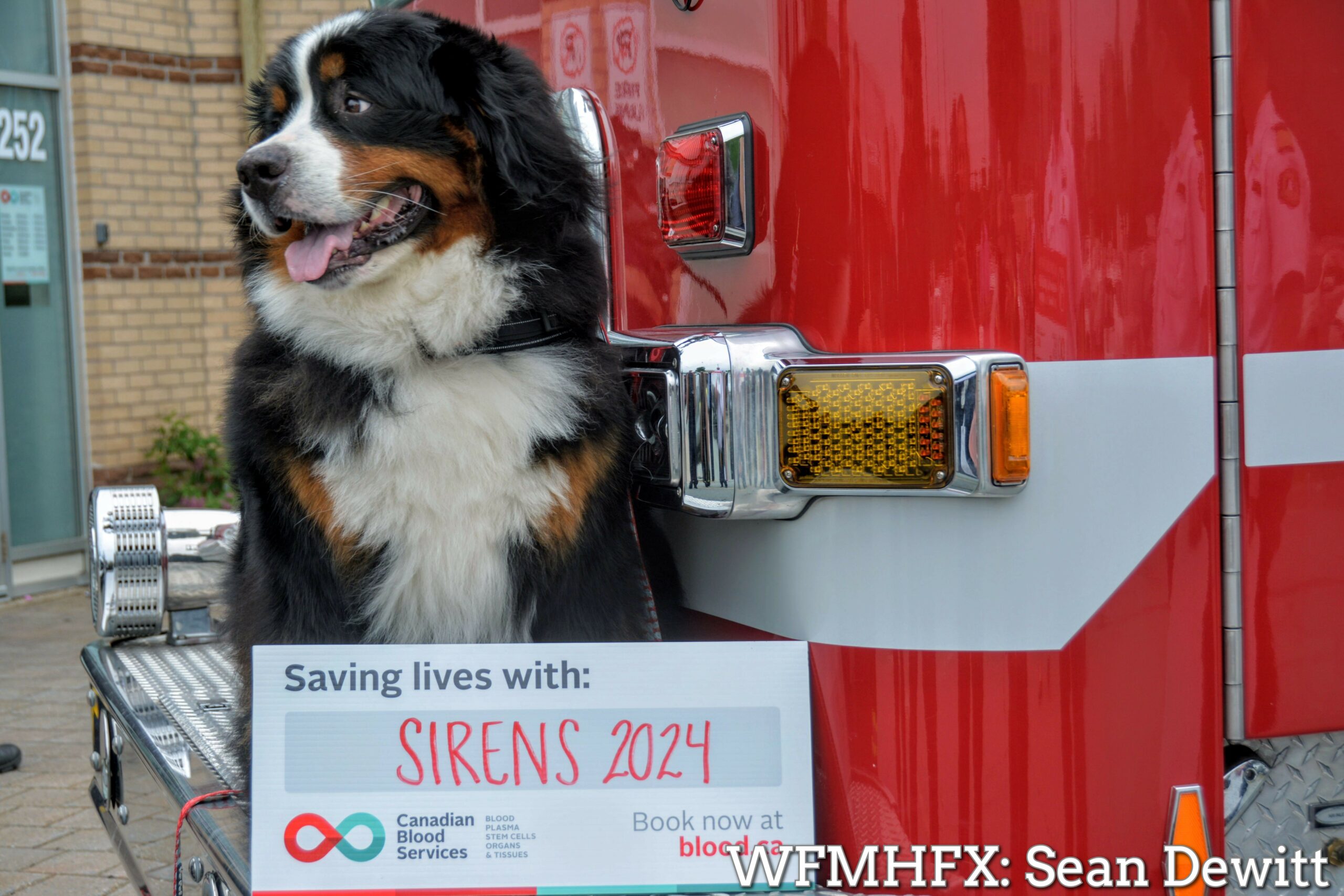 Emergency service workers come together to give blood as the Sirens for Life 2024 challenge kicks off in Halifax