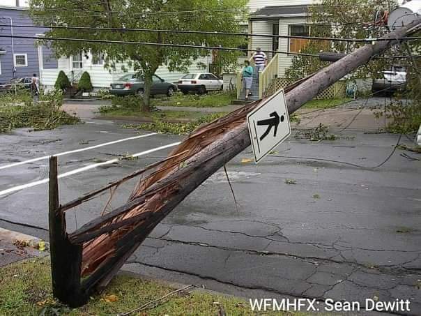 What to do when a Hurricane Watch or Warning is issued / During a hurricane / Keep Your Pets Safe in an Emergency: 8 Things You Need to Know