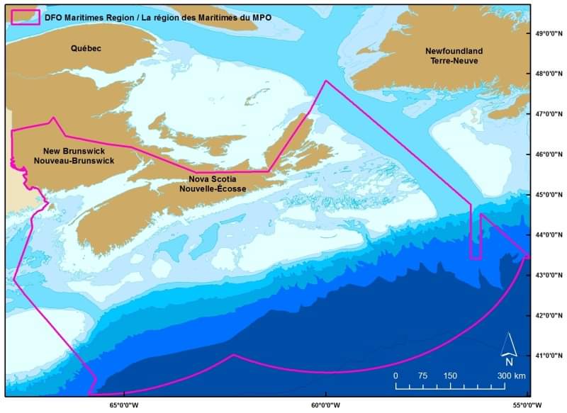 Attention Recreational Fishers in DFO’s Maritimes Region