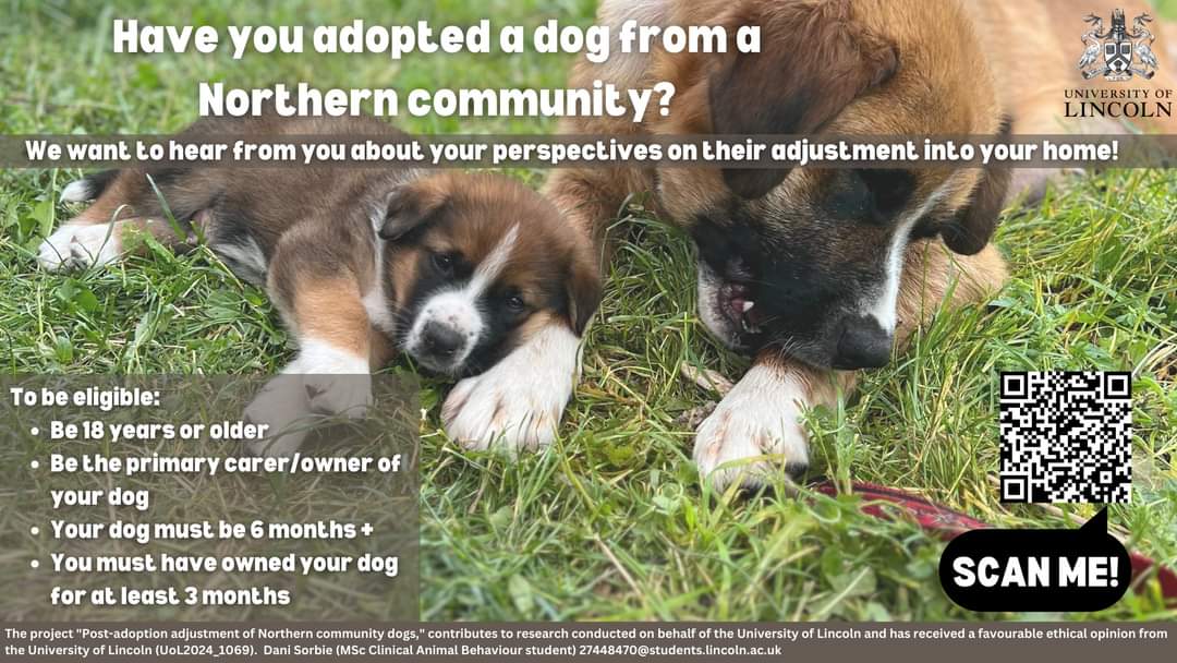 Do you know someone who has adopted a dog from one of these communities, through a rescue or other rescue pathways?