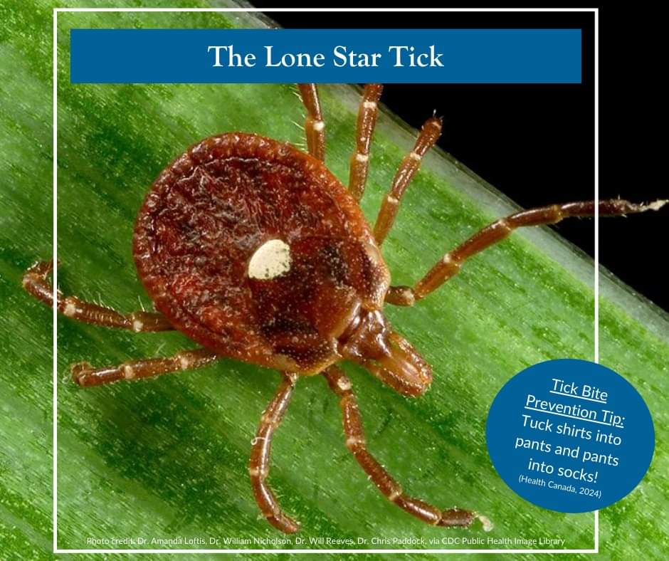 Shubenacadie trails - Attention all trail users!  Warmer temperatures mean tick season