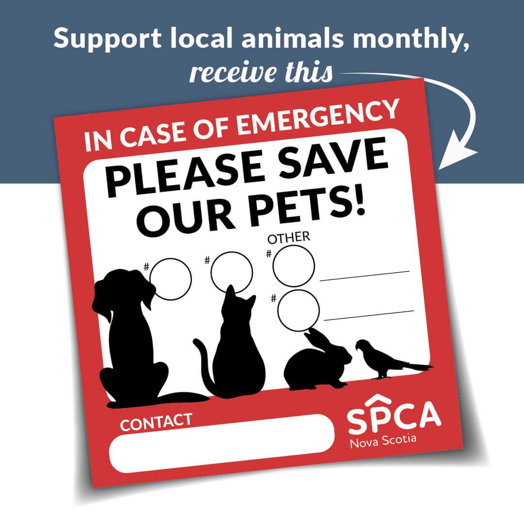Support animals in your community by becoming a new monthly donor today