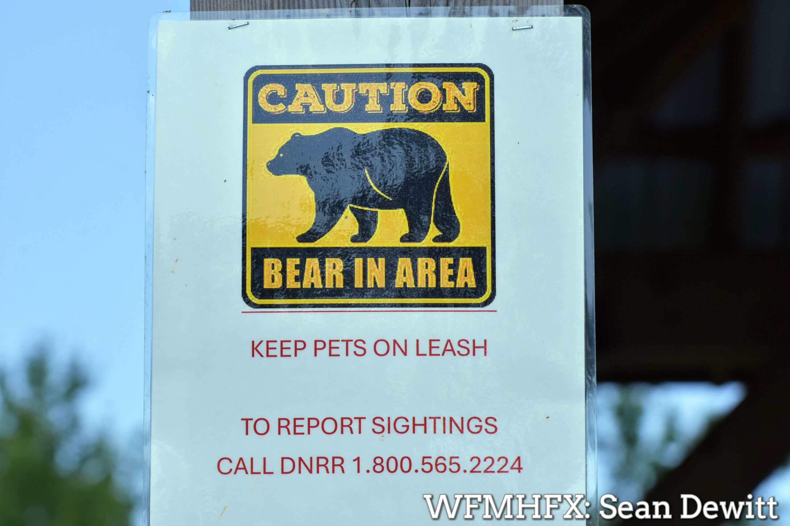Residents warned of bear sighting at Morris Lake in Dartmouth