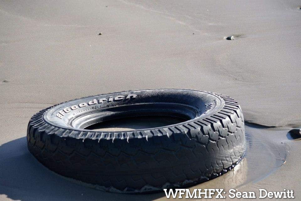 Funding for Shoreline Cleanups, Litter Prevention, Debris Recycling