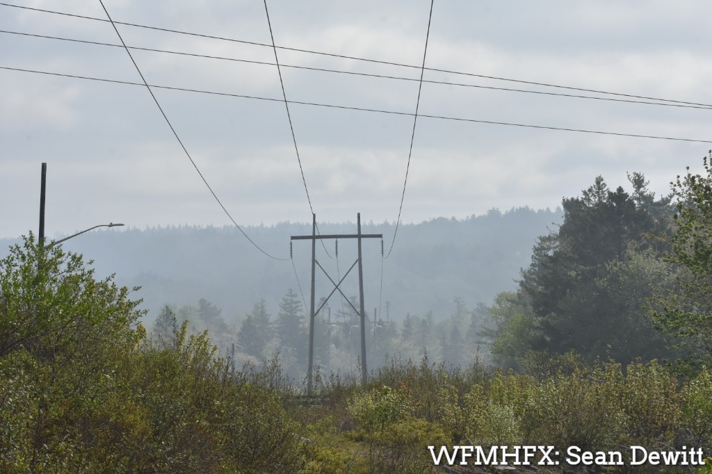 Provincewide Tree Planting Starts in Neighbourhoods Affected by Wildfire