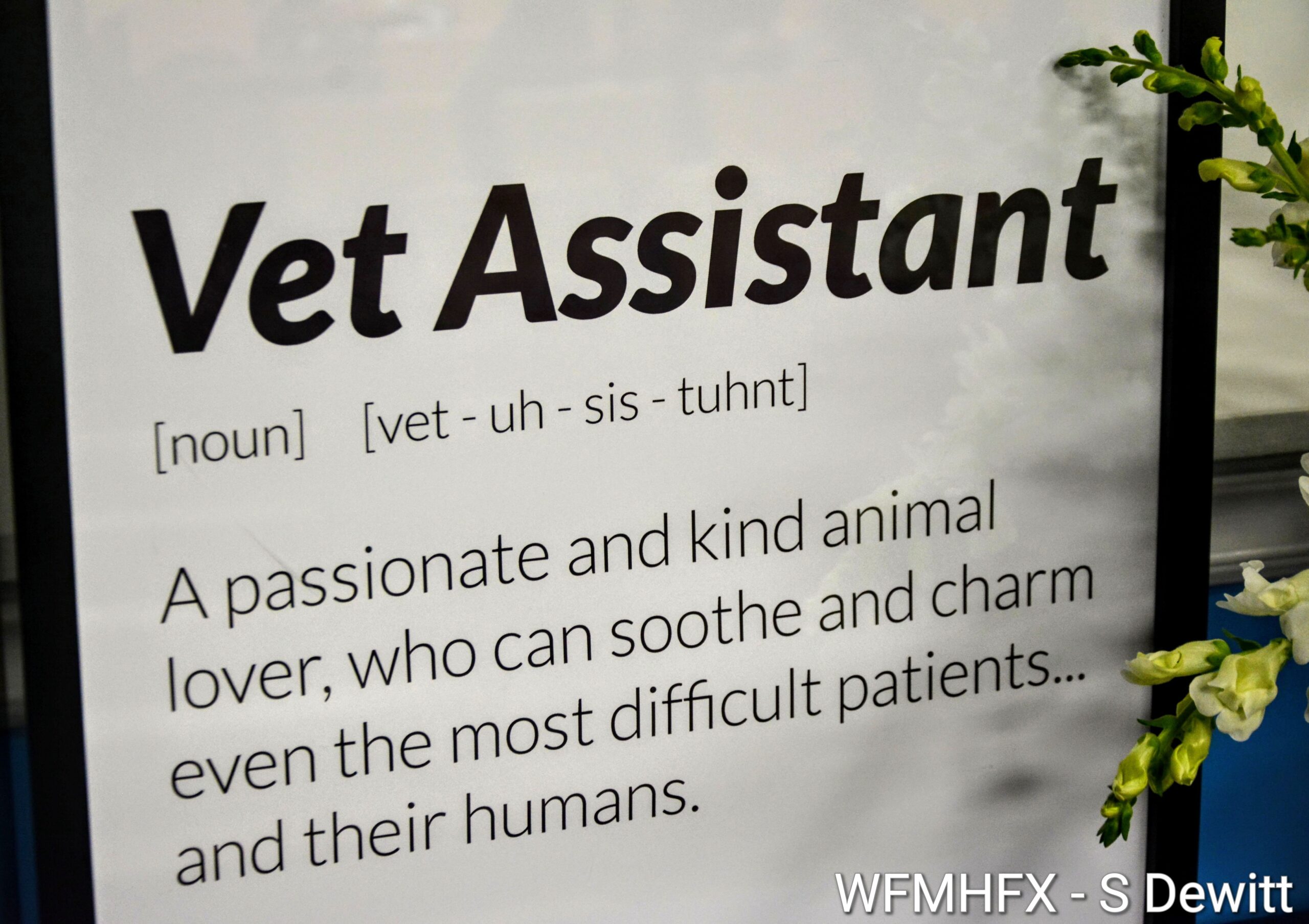 19 new veterinary assistants  graduated and join the workforce, helping with employee shortages in the veterinary medical field