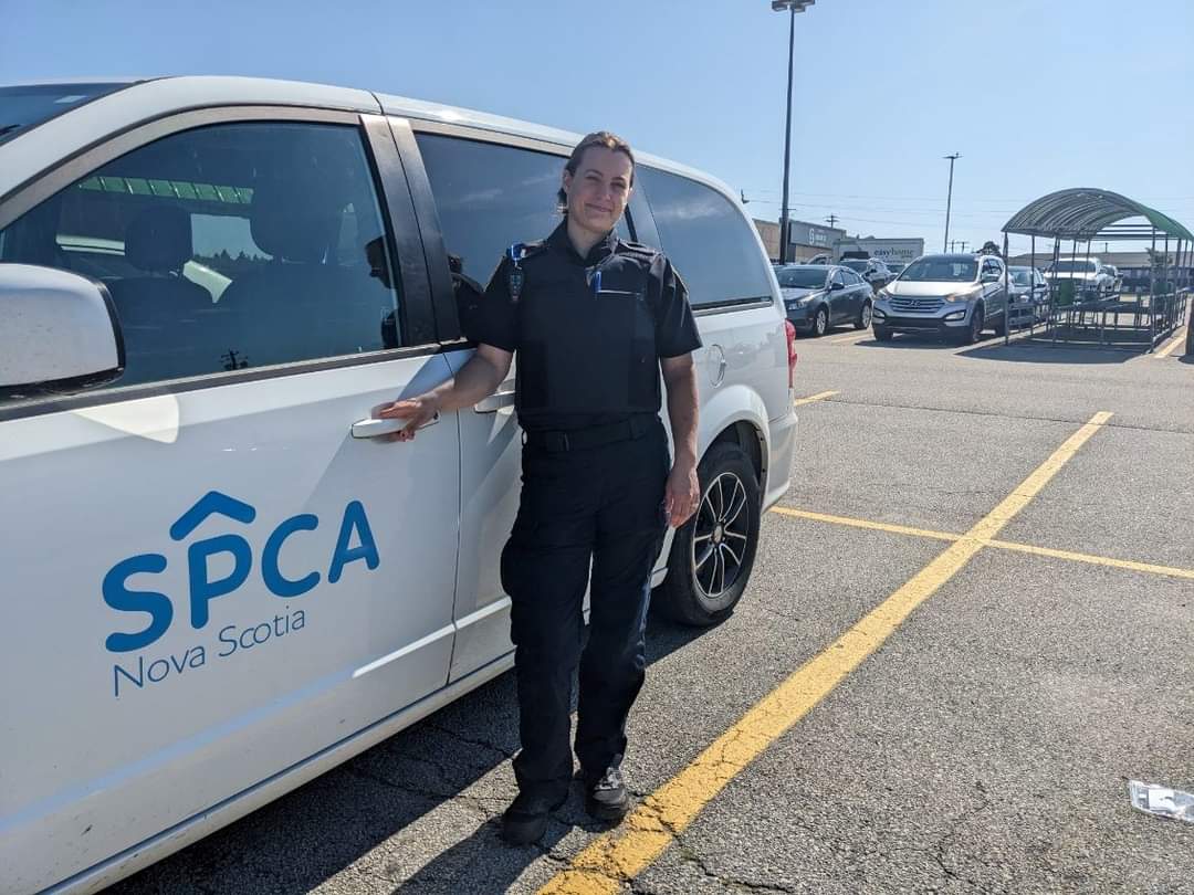 With these skyrocketing temperatures, our SPCA Enforcement Team are out patrolling parking lots