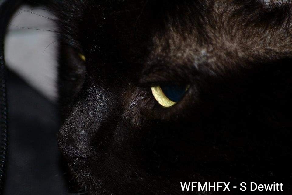 Friday the 13th