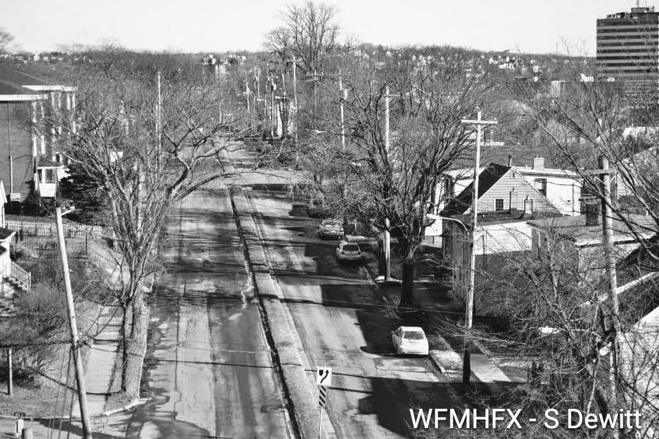 Residents asked to take survey to help shape future of Windmill Road 