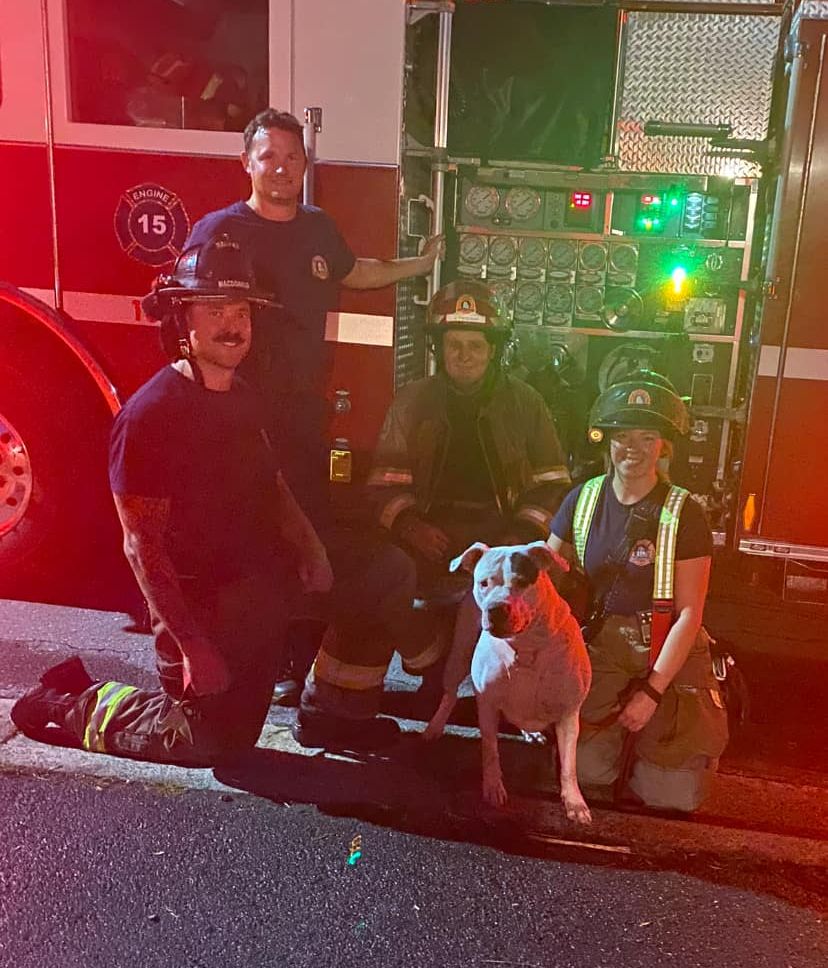 Dog saved from fire in Dartmouth