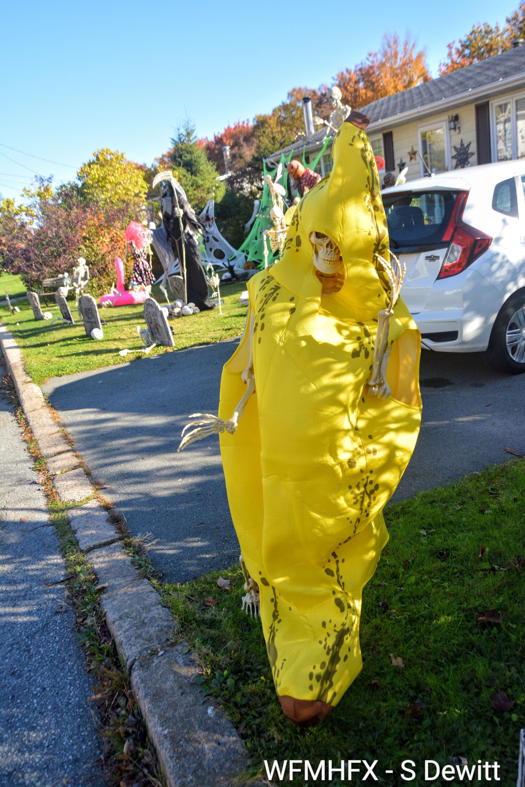 In photos - You might go a little bananas creeping along Paxton Dr in Dartmouth, and you are wise to stay alert as you venture near this yard of creepiness