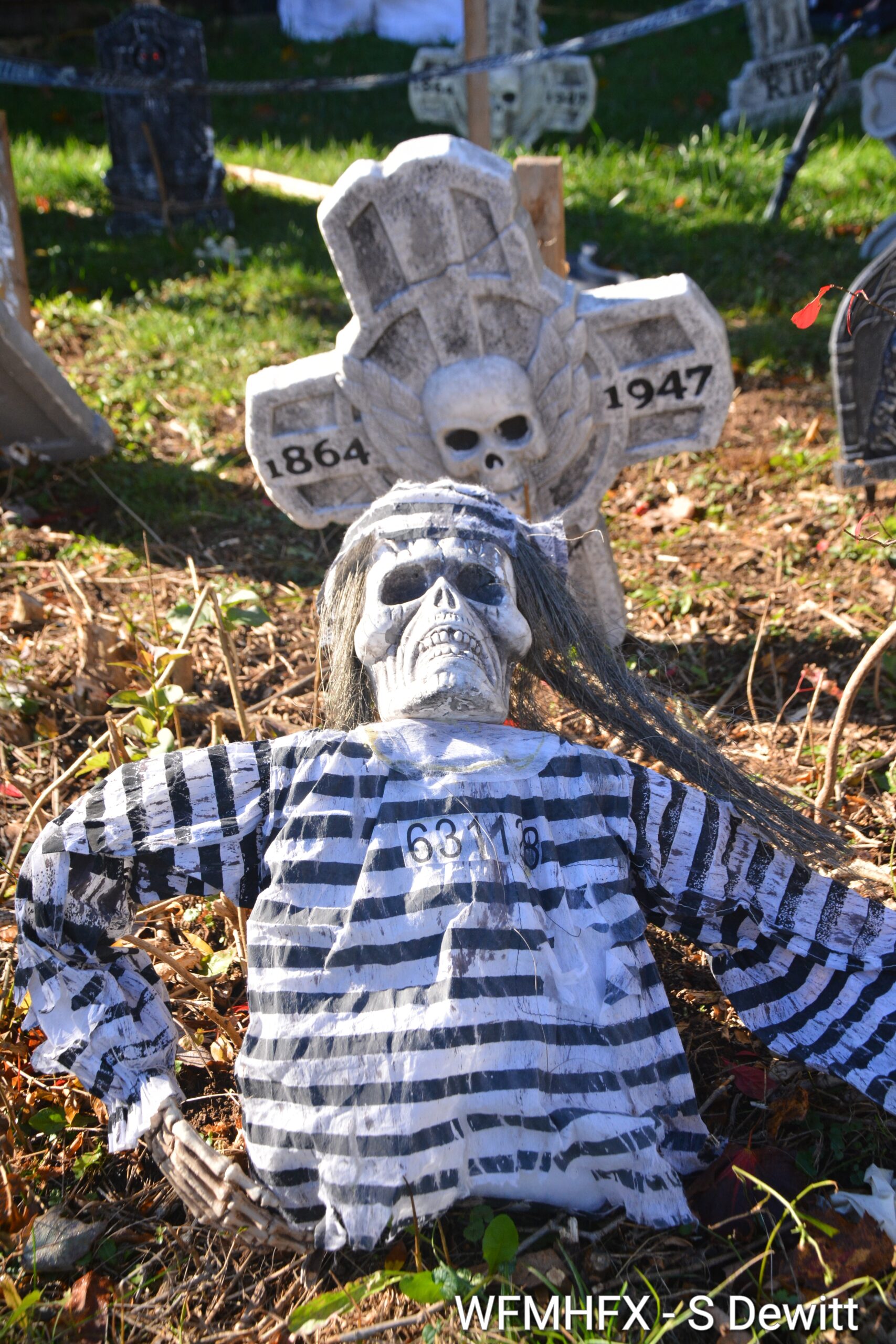 In photos - Stick to your convictions and stay alert on Havelock Crescent in Cole Harbour! As Halloween nears, danger lurks around every stone!