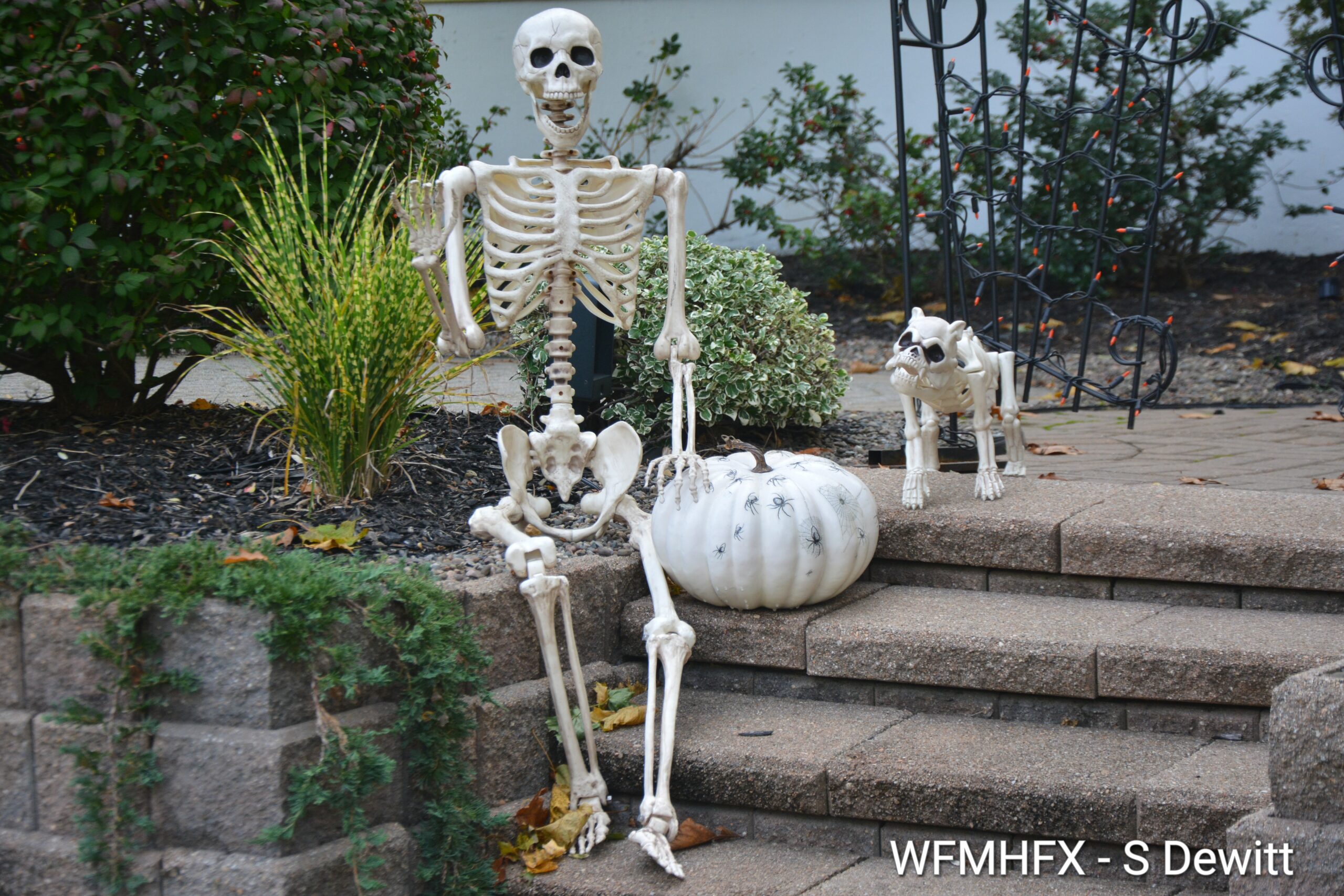 In photos - You'll have an unpleasant time as you notice things that go bump in the night along Mt Pleasant in Dartmouth!