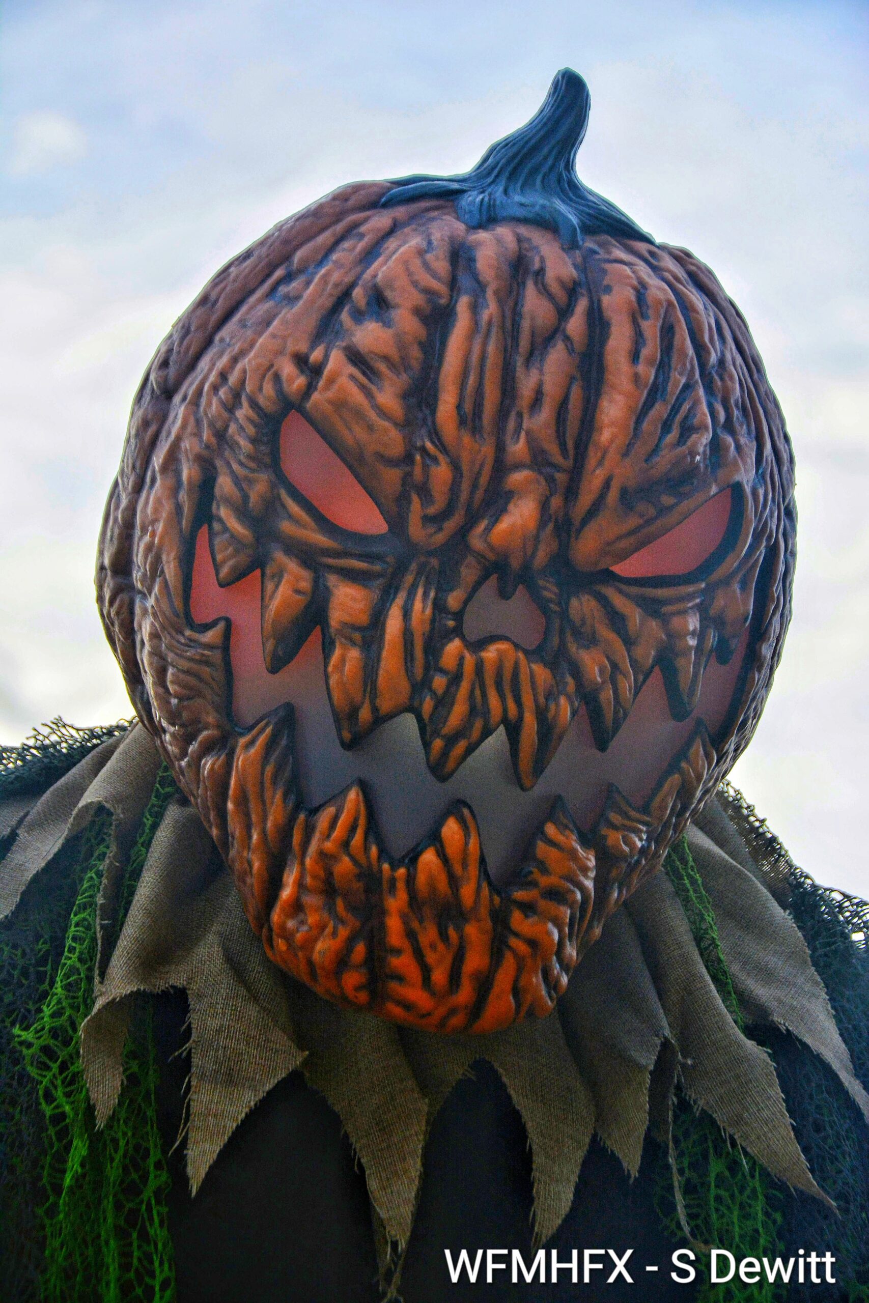 In photos - Stand tall and conquer your fears before you make a grave mistake on Lakeview Ave in Dartmouth!