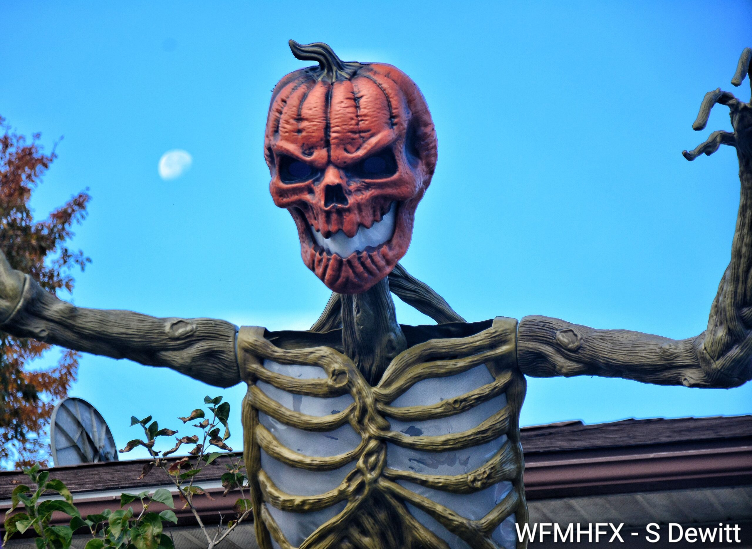 In photos - Beware the witching hour on Renfrew St in Dartmouth as danger lurks in the shadows!