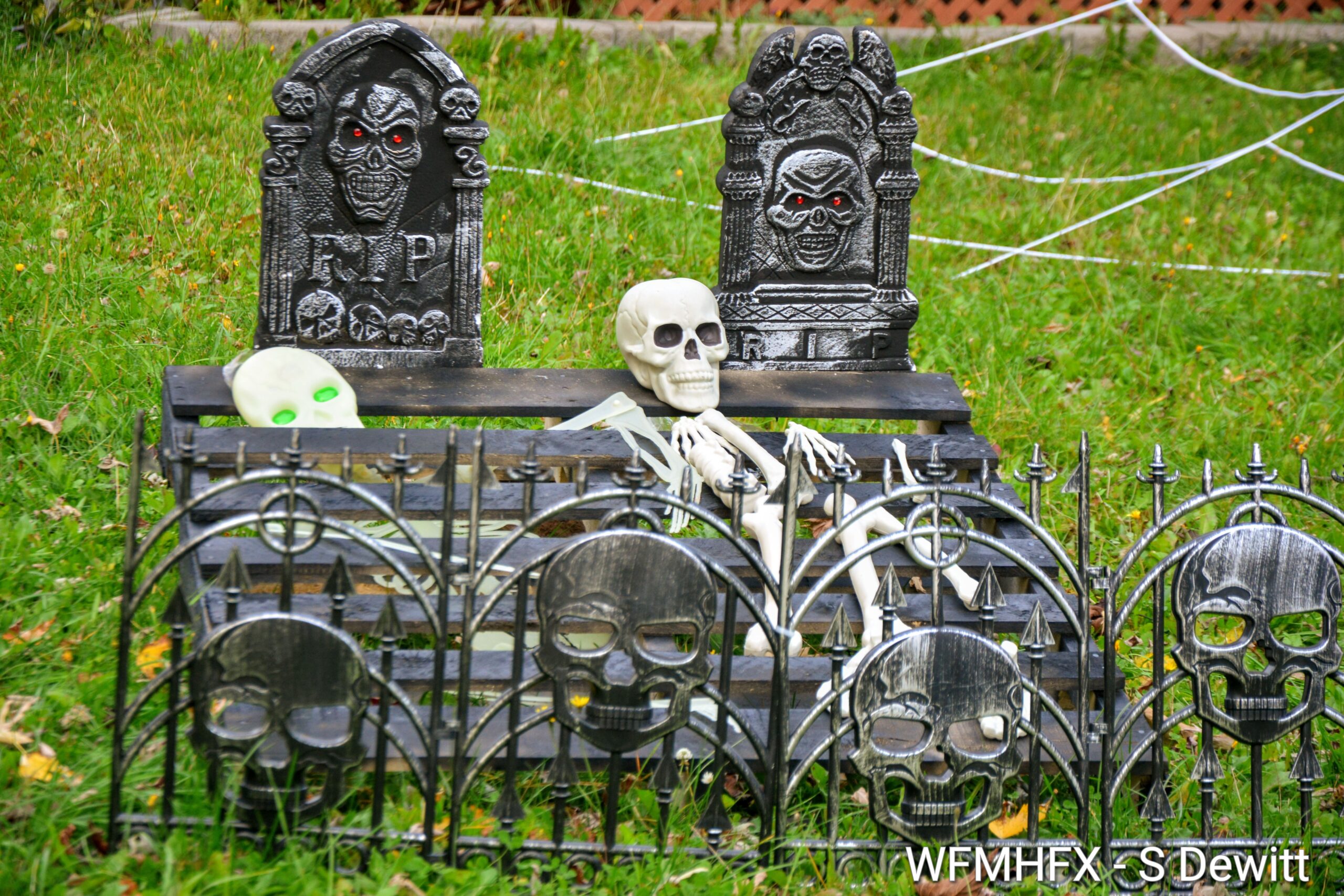 In photos - You'll feel like you're being watched as you stroll down Hampton Green in Cole Harbour!  Beware!
