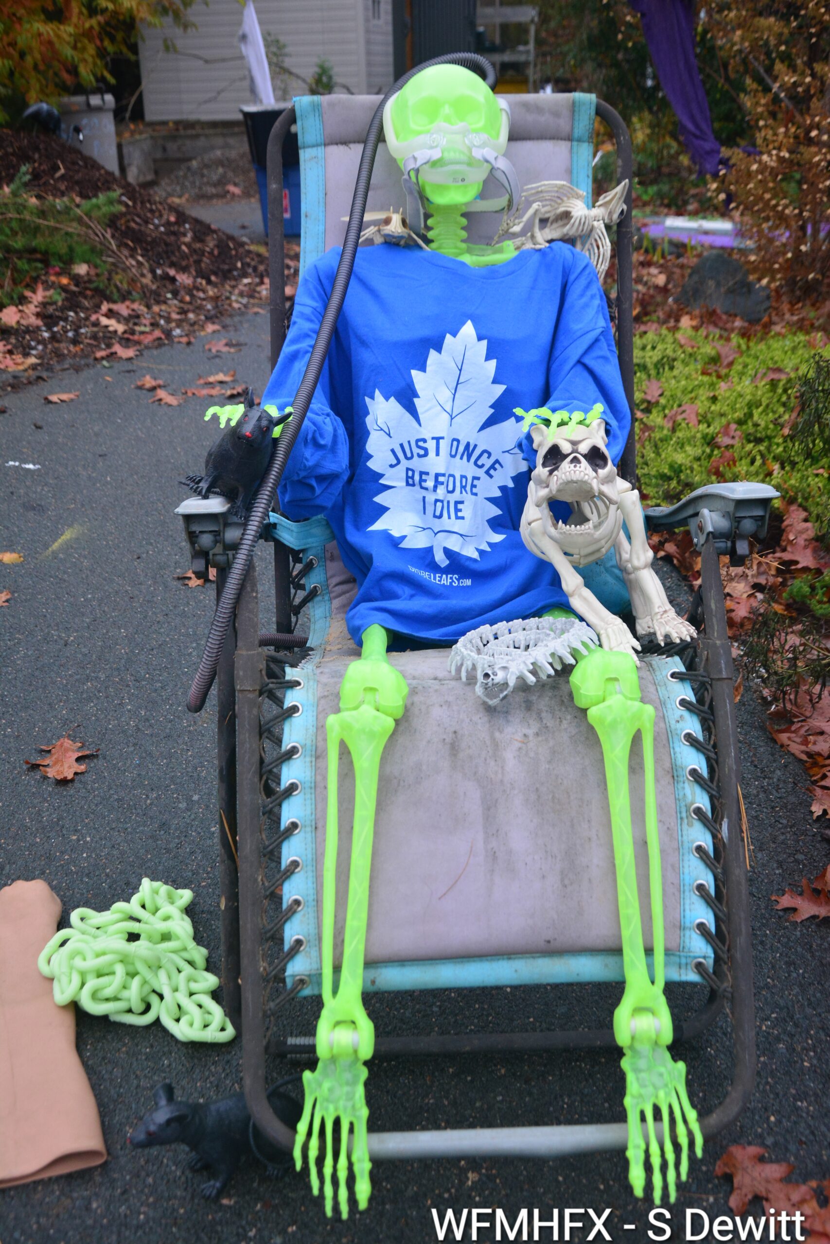 In photos - The Clement St Cemetery has no Dartmouth is even more spooktacular at night!
