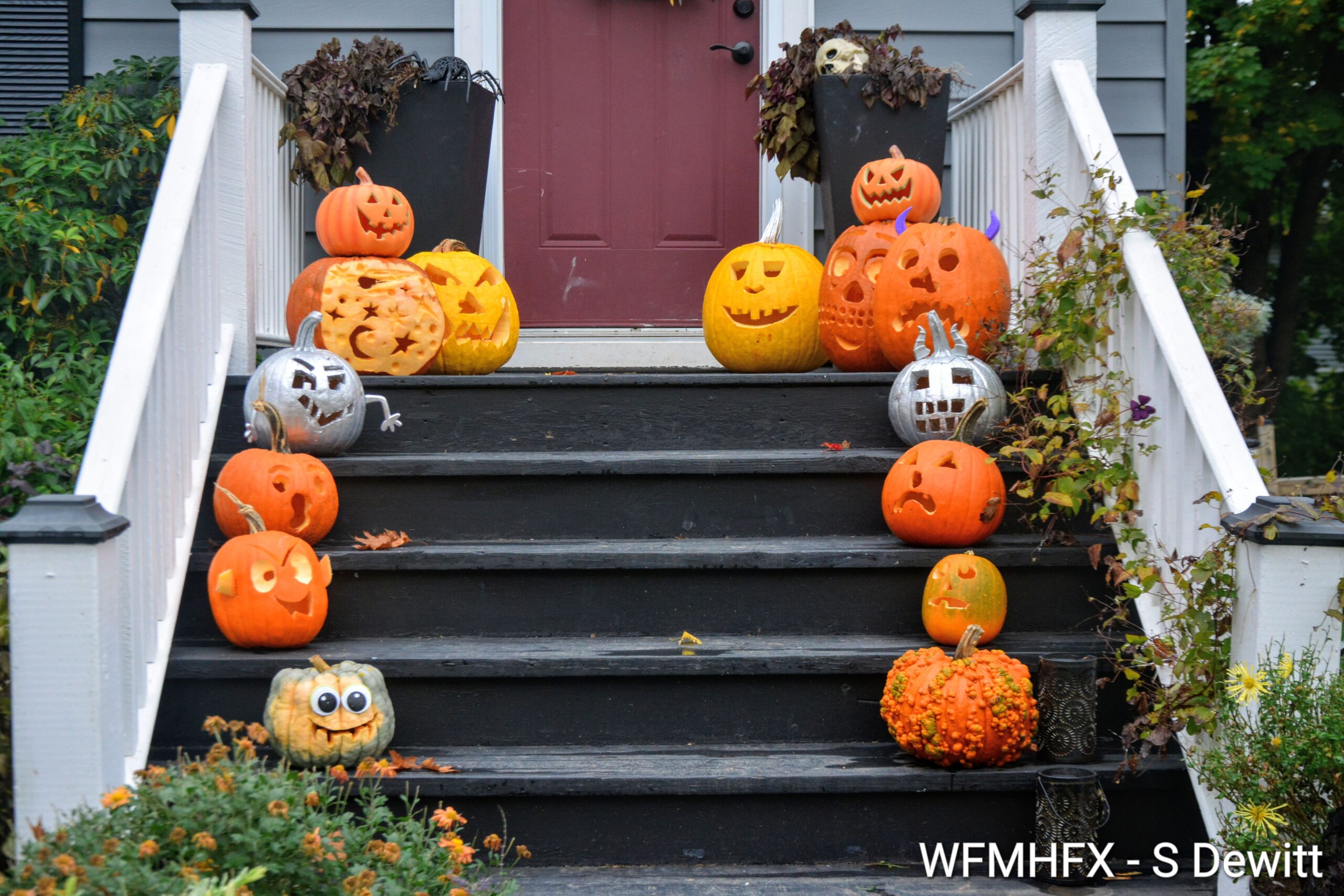 In photos - You'll go out of your gourd if you let your guard down on Newcastle St in Dartmouth!