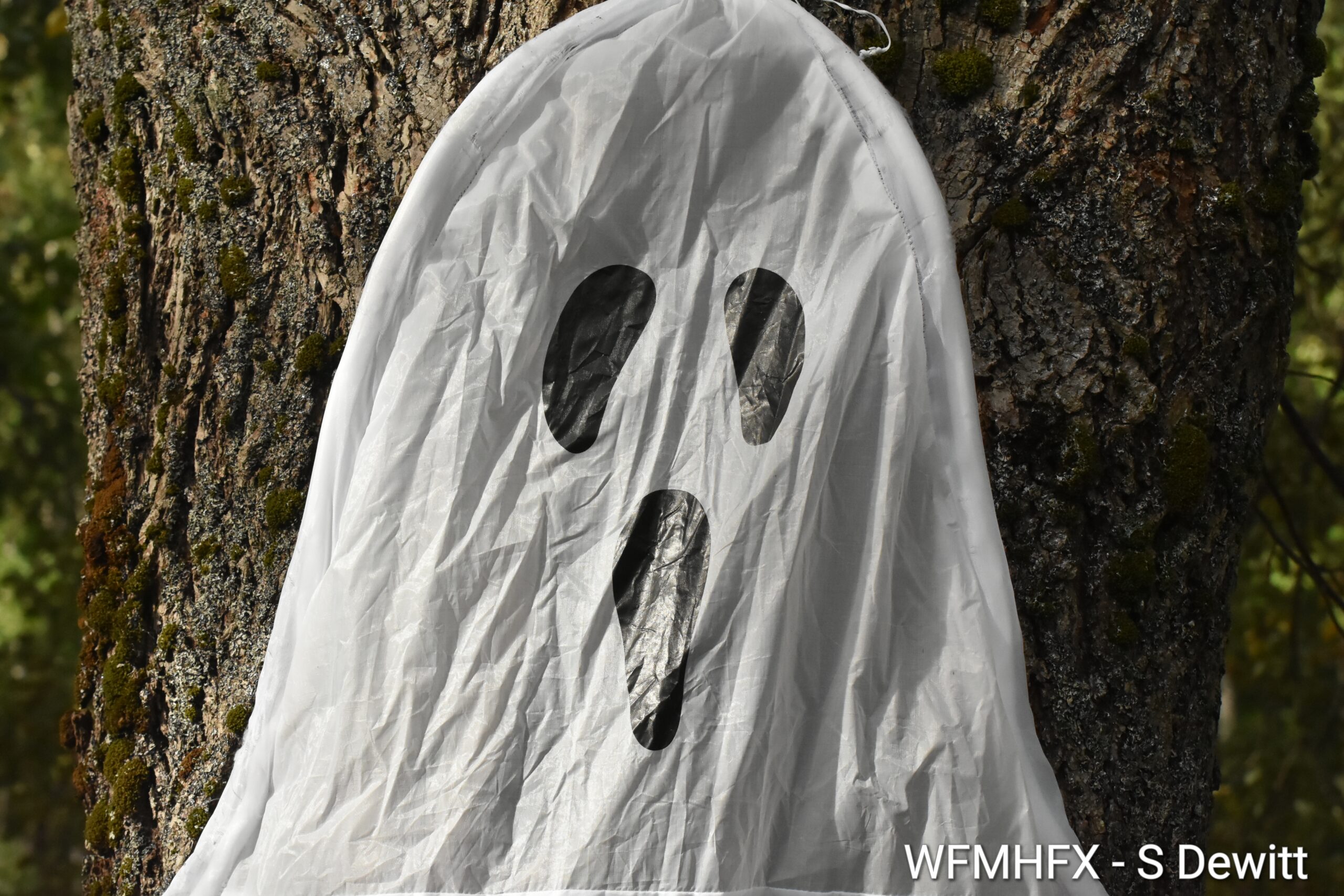 The countdown to Halloween is on!